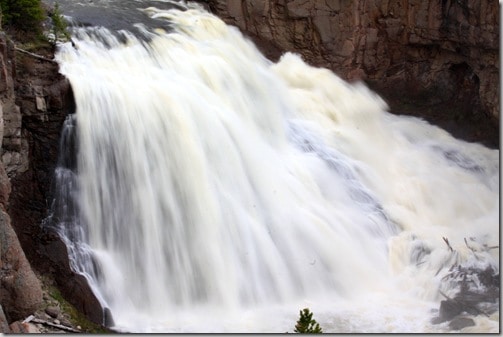 gibbon falls