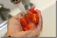 maters