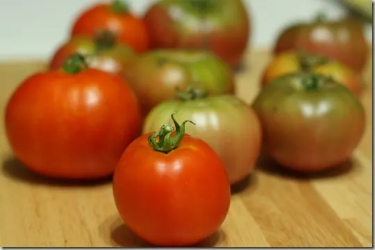 tomatoes
