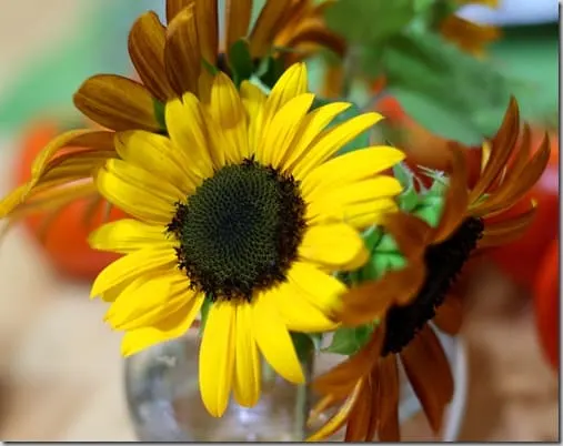 flower