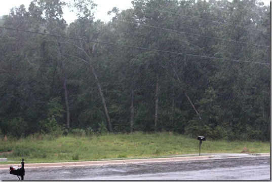 rain