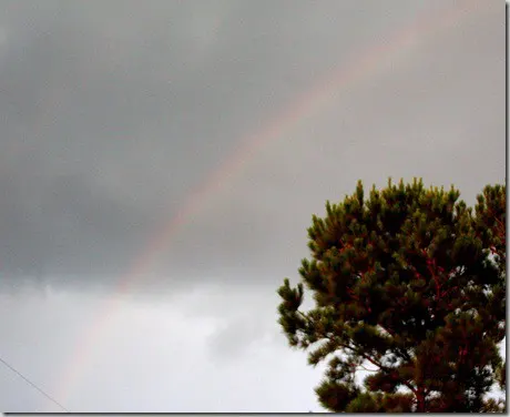 rainbow