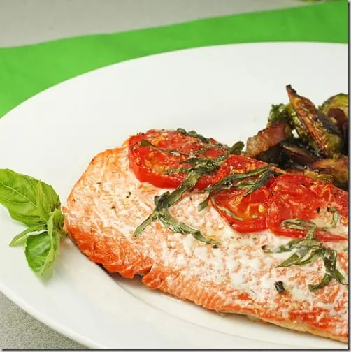 salmonfinal copy