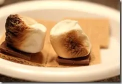 smore3