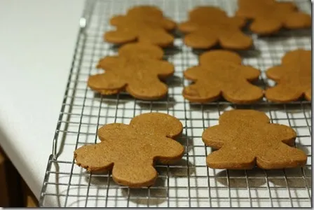 ginger7
