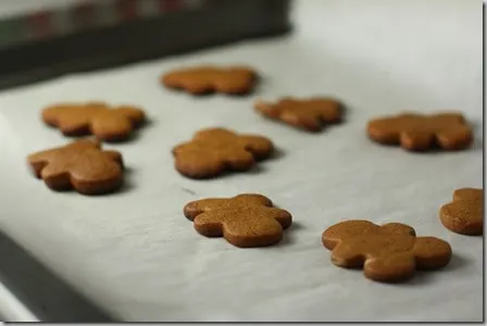 ginger9