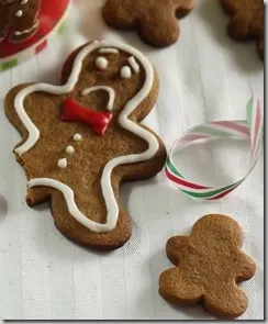 gingerbroke