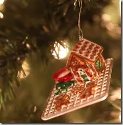 ornament6