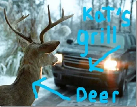 0_21_deer450