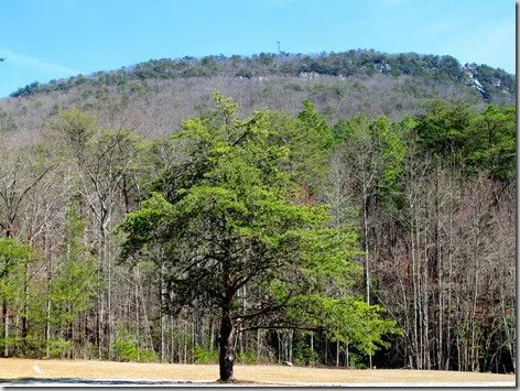 cheaha5