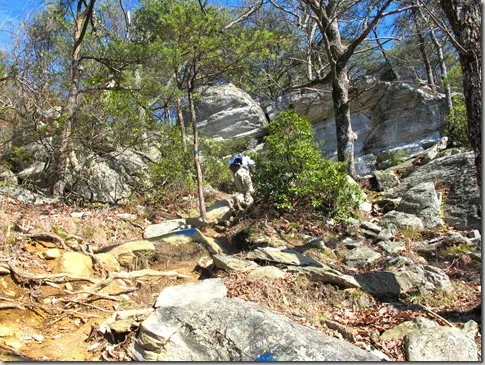 cheaha7