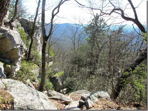 cheaha8