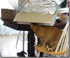 box