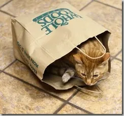 frankie