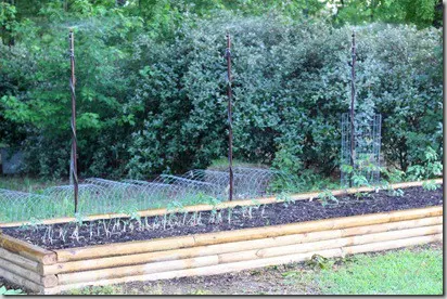 garden3
