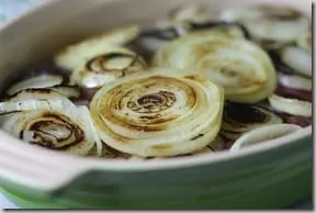 onion2