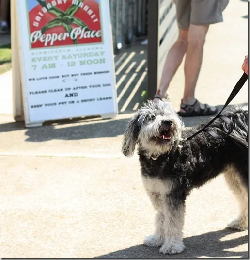 pepperplace10