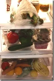 fridge2