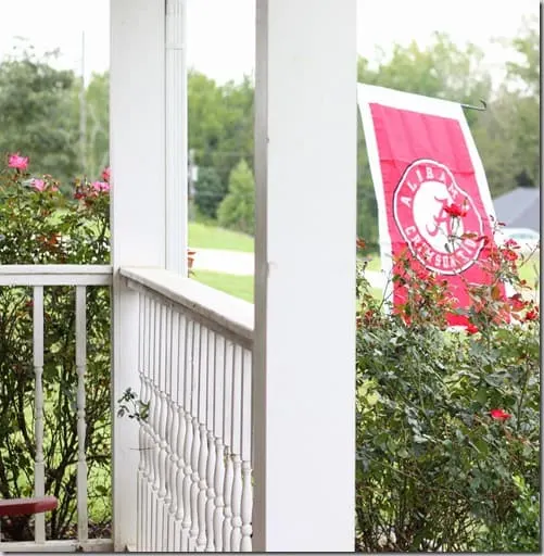flag2