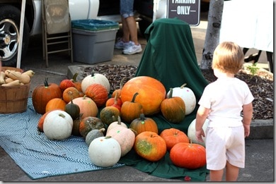 ppmarket5