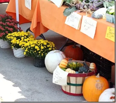 ppmarket8