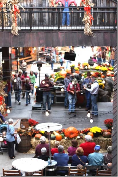 bluegrass2