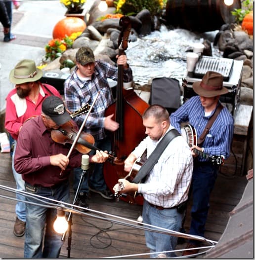 bluegrass3