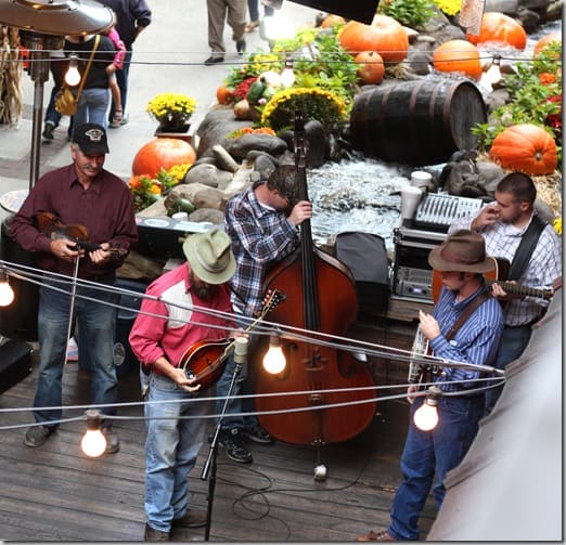 bluegrass