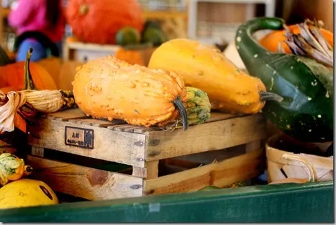 fruitstand5