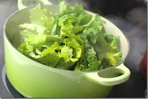 kale3