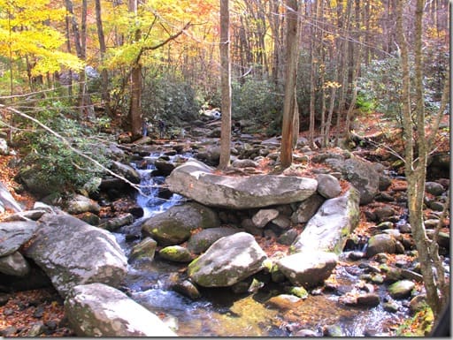 roaringfork11