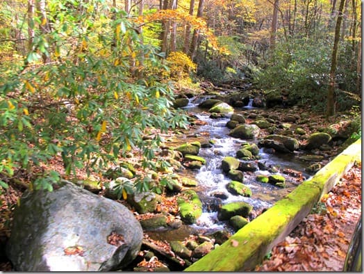 roaringfork6