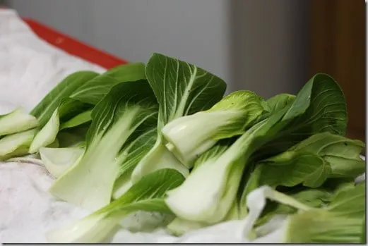bok choy