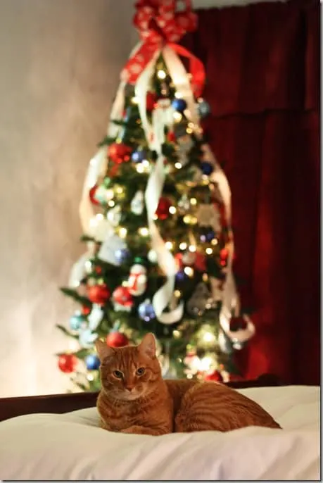 frankie2012