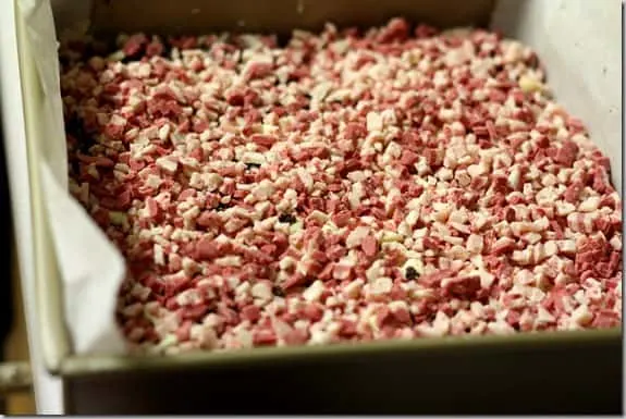 peppermint brownies