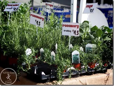 ppmarket6