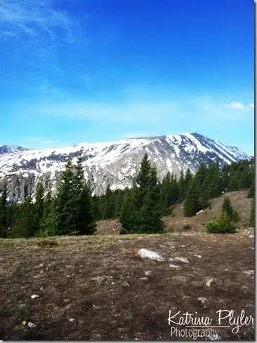 ~Quandary31_edited-1