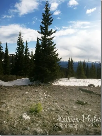 ~quandary33_edited-1