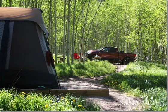 ~3camp12