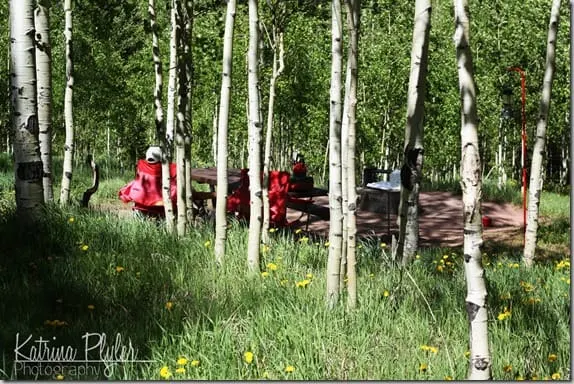 ~3camp7