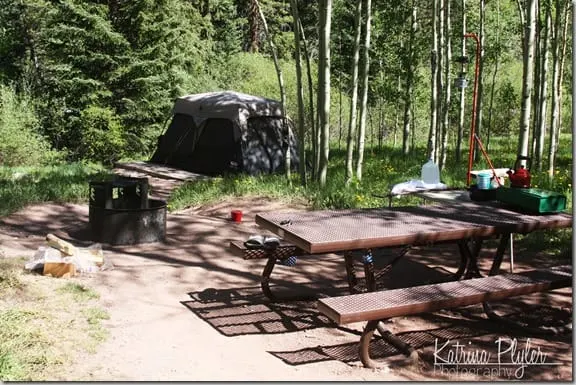 ~3camp8