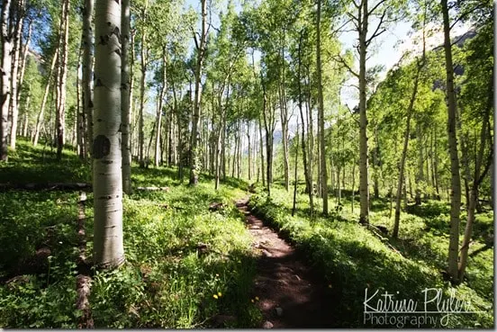 ~maroonbells12