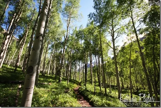 ~maroonbells13