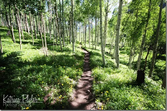 ~maroonbells14