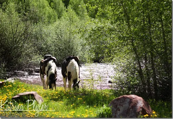 ~maroonbells1