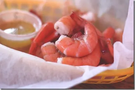 shrimp