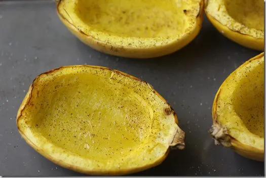 squash4
