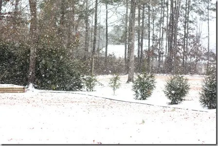 snow