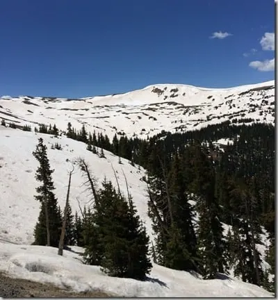 2014-06-12 12.47.58