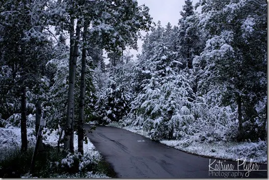 kamassnow1